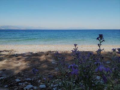 Φώτο Μονοκατοικία #7