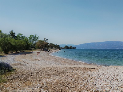 Φώτο Μονοκατοικία #8