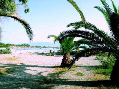 Φώτο Παραλία - Νικολαίικα #5