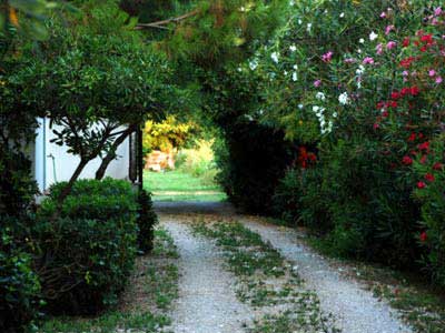 Φώτο Κήπος Διαμερισμάτων #1