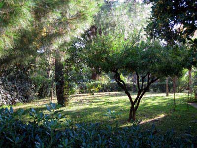 Φώτο Κήπος Διαμερισμάτων #2