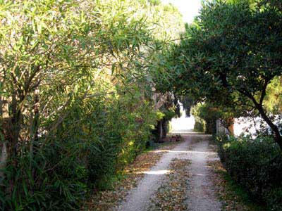 Φώτο Κήπος Διαμερισμάτων #3