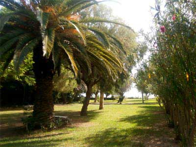 Φώτο Κήπος Διαμερισμάτων #6