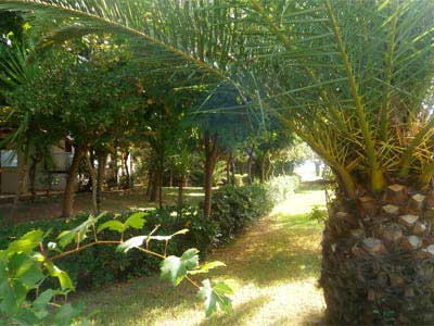 Φώτο Κήπος Διαμερισμάτων #7