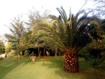 Φώτο Κήπος Διαμερισμάτων #8