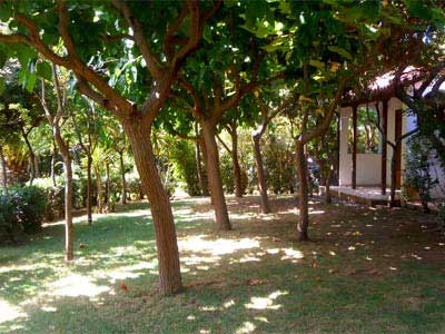 Φώτο Κήπος Διαμερισμάτων #9