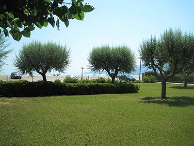 Φώτο Κήπος Διαμερισμάτων #10